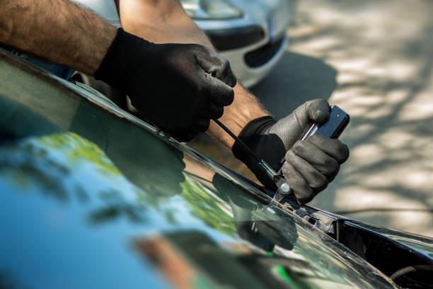 Same-Day Auto Glass Replacement by Tampa Professionals