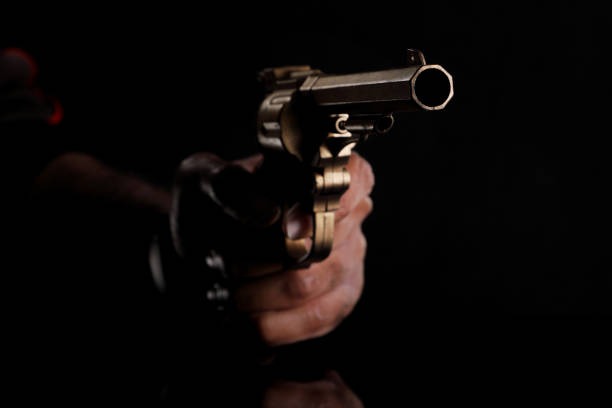 Understanding .22 Bullet Travel Distance and Accuracy