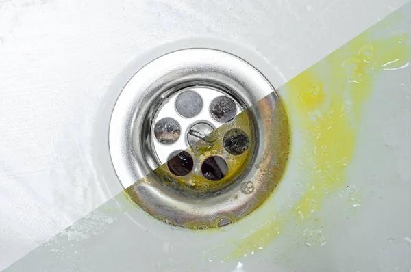 Expert Drain Cleaning Pasadena Service For Fast Results
